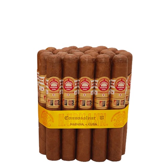 乌普曼 鉴赏家B LCDH