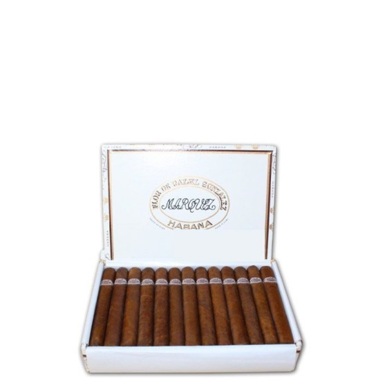 拉斐尔 小高朗拿