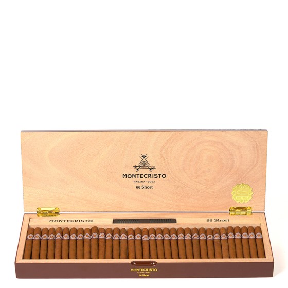 蒙特 短号 2023兔年限量版