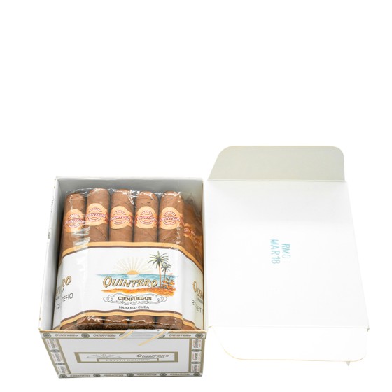 金特罗 小金特罗