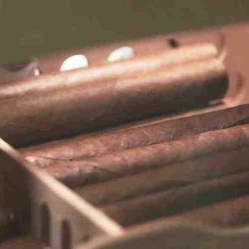 茄衣爆裂之谜：为何精心养护的雪茄也会“受伤”